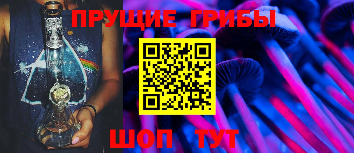 Чистополь  купить закладку  Галлюциногенные грибы мухоморы  Вход с VPN  Галлюциногенные грибы Cubensis 
