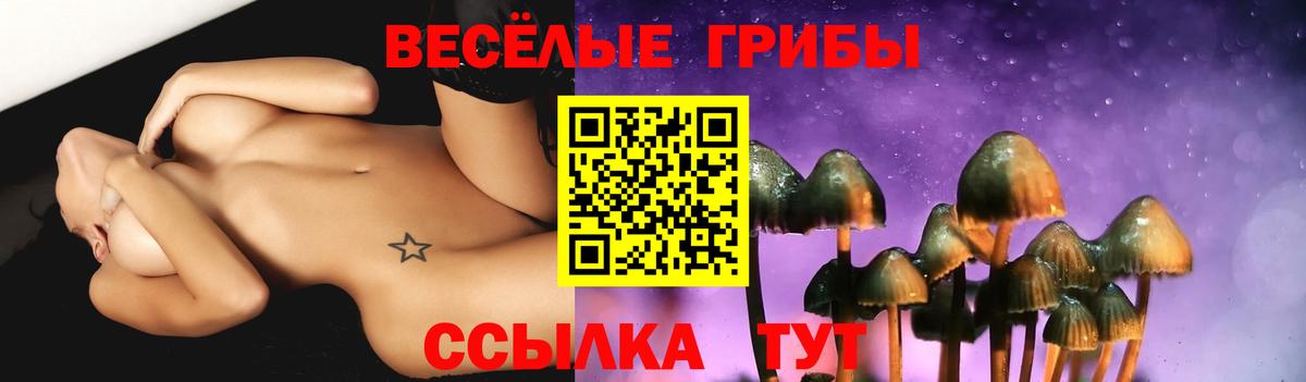 Галлюциногенные грибы MAGIC MUSHROOMS Чистополь